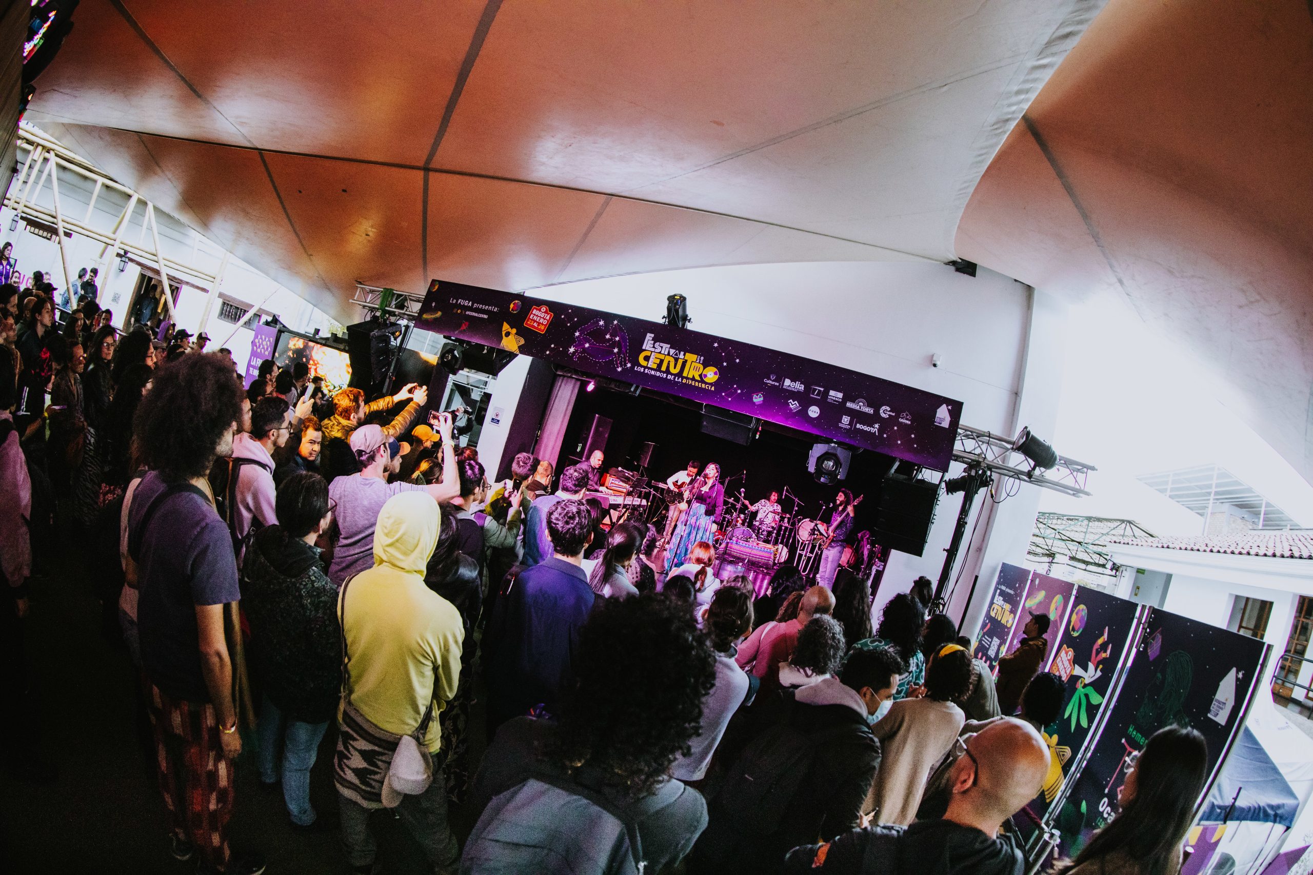 54305959253_c1d9af5694_6k