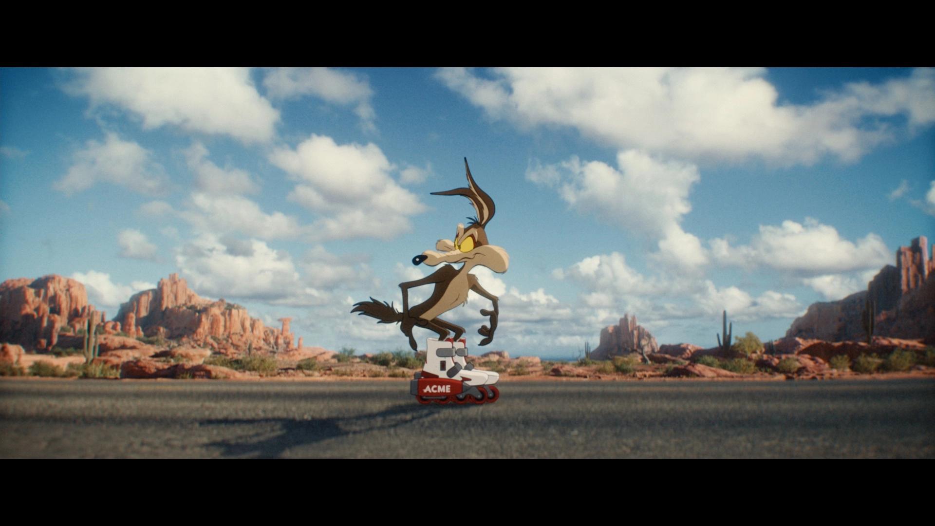 Coyote vs acme